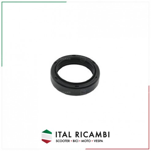 PARAOLIO PARAPOLVERE CAMPANA FRIZIONE...