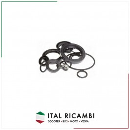 SERIE PARAOLI MOTORE...