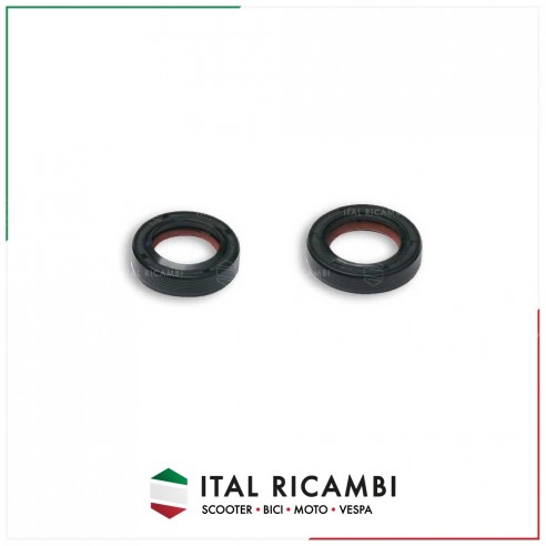 PARAOLIO 19X30X7 PULEGGIA PIAGGIO...