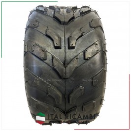 COPERTONE PNEUMATICO QUAD... 2
