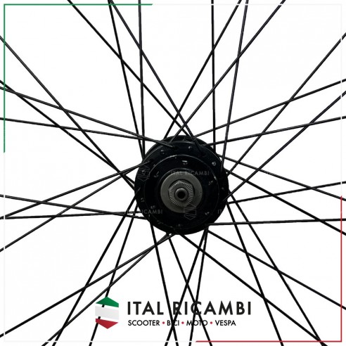RUOTA BICI ANTERIORE MTB 29 FRENO A...