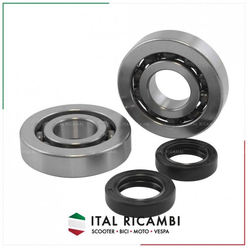 KIT REVISIONE ALBERO MOTORE...