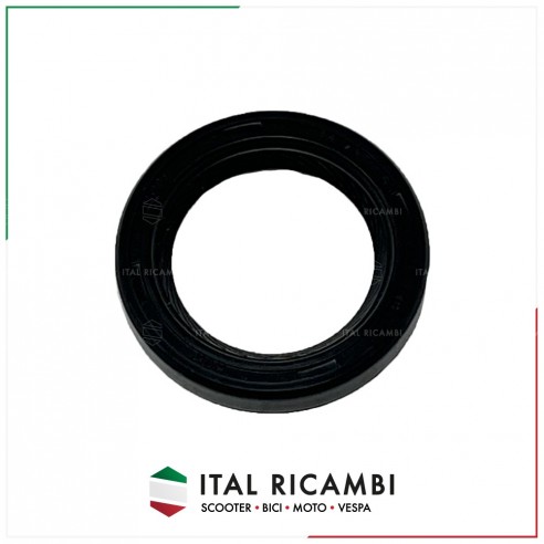 PARAOLIO 24 X 35 X 6 ALBERO MOTORE...