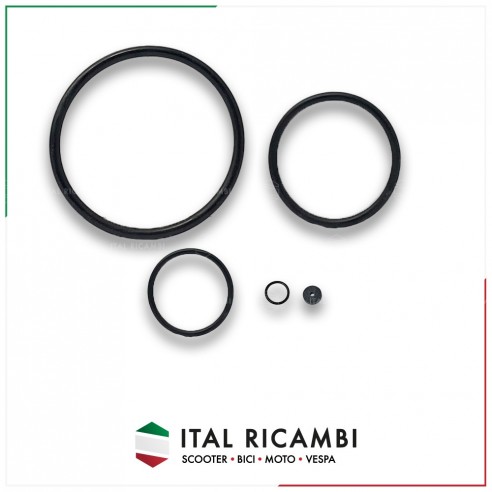KIT GUARNIZIONI CARBURATORE SHBC...
