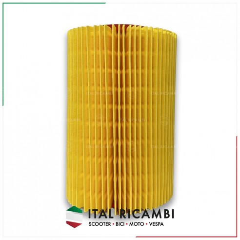 FILTRO ARIA PIAGGIO APE CAR TM DIESEL...